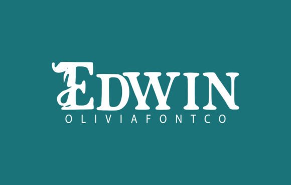 Edwin: A Romantic Sans Serif Font That Elevates Handmade Branding