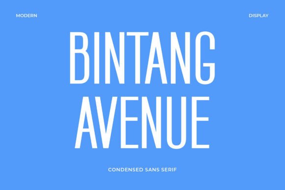 How Bintang Avenue Font Elevates Small Business Branding with Clean Sans Serif Style