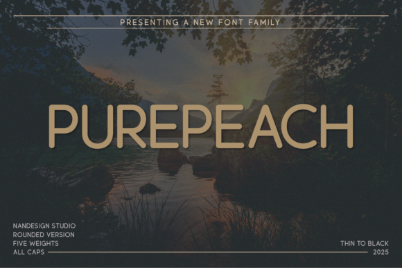 Purepeach Rounded: A Modern Sans Serif for Campaigns